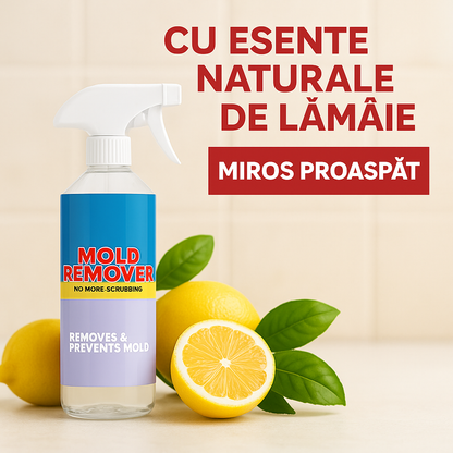 Mold Remover – Spray pentru Îndepărtarea Mucegaiului și Umezelii, cu Miros Plăcut