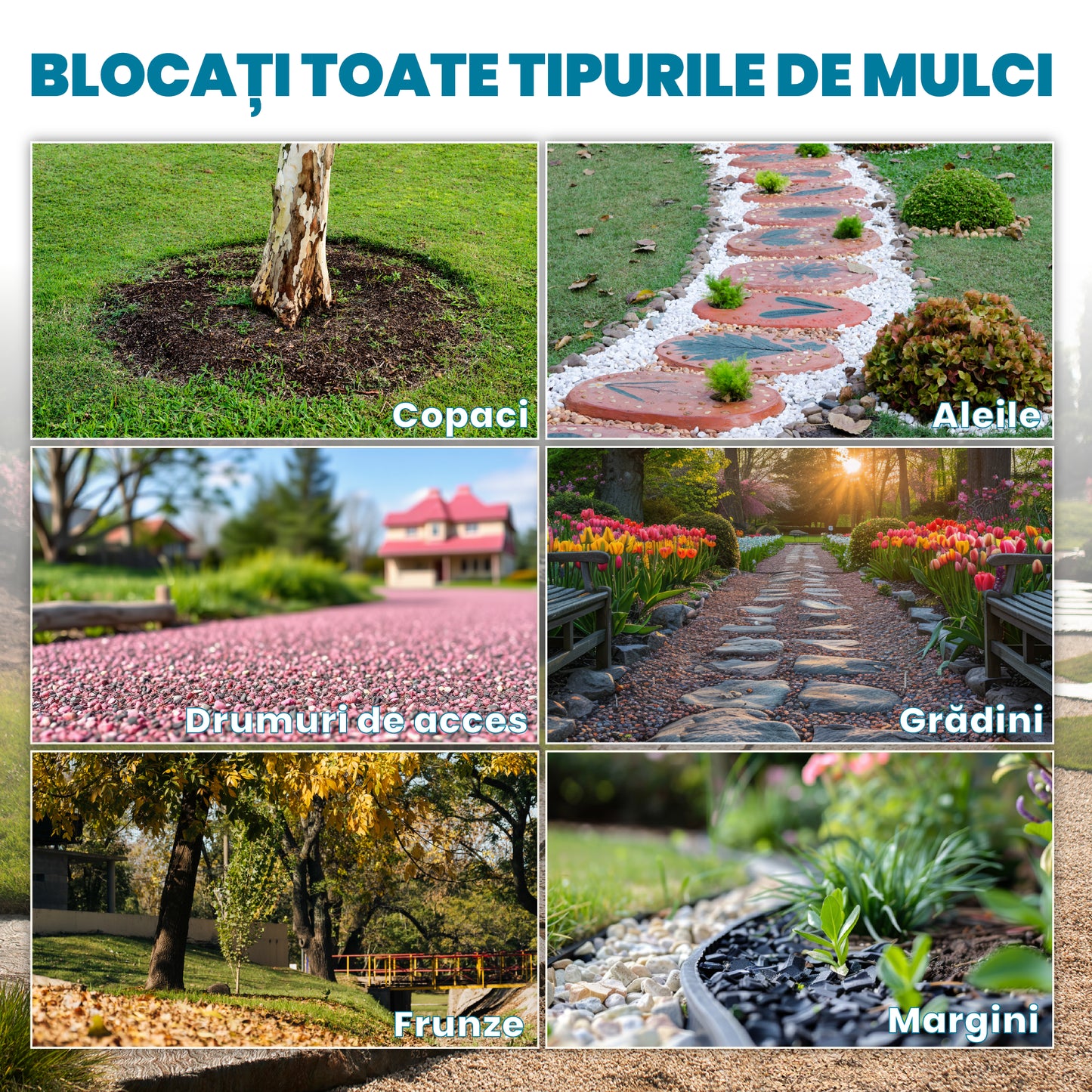 SOLID GROUND – Lipici pentru pietre pentru amenajarea curții